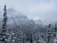 Trail above Elizabeth Lake